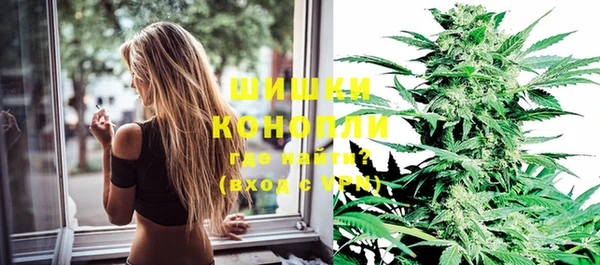 дурь Белокуриха
