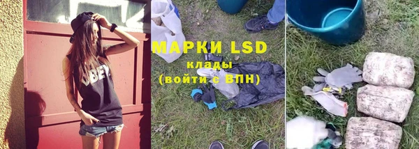 прущие грибы Белоозёрский