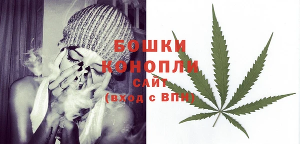 прущие грибы Белоозёрский