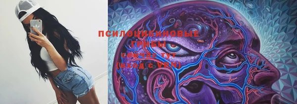 прущие грибы Белоозёрский
